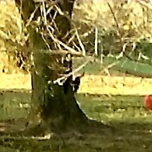 20201204_155216.jpg