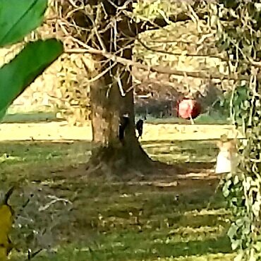 20201204_155138.jpg