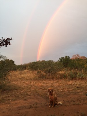Rainbow.jpg