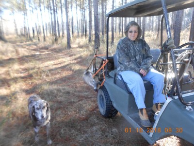 With help, I don't have to drag them, we can tie 'em to the cart.<br />(This was the season before Hurricane Michael struck)