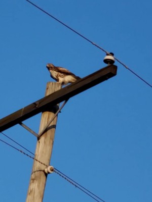 20201206_154417_capture(1).jpg