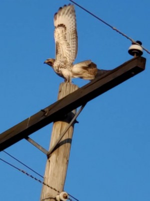 20201206_192343.jpg