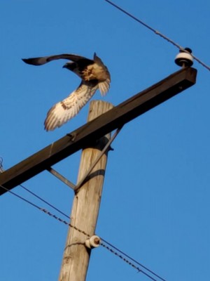 20201206_192448.jpg