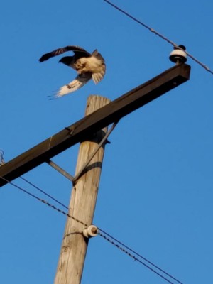 20201206_192234.jpg