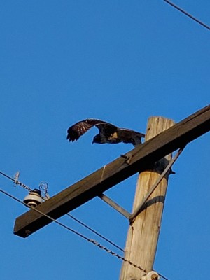 20201206_192208.jpg