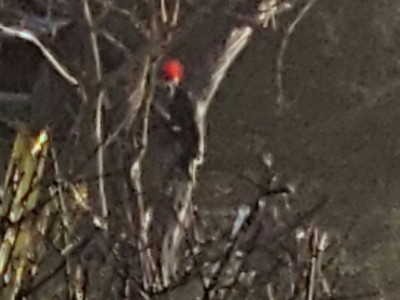 20201206_101621.jpg