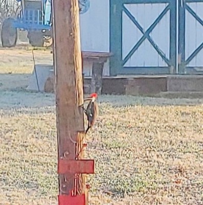 20201206_103708.jpg