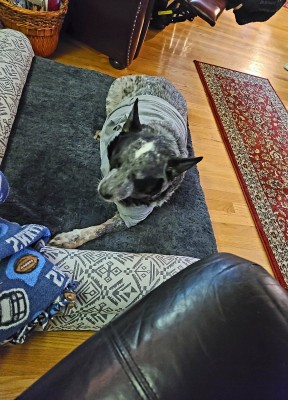20201207_063651.jpg