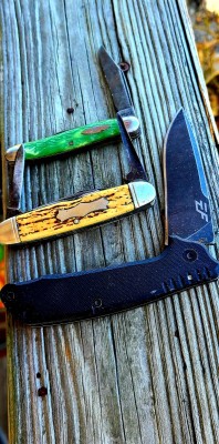 20201207_063857.jpg