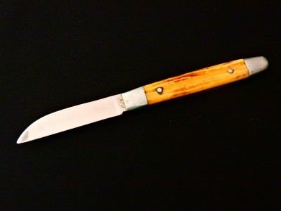DSCN7137.JPG