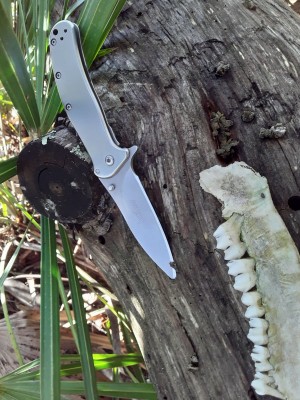 20201207_141226.jpg