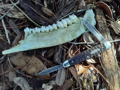 20201207_141033.jpg