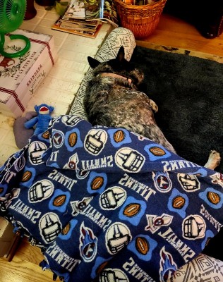 20201208_091259.jpg