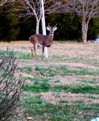 20201208_171119.jpg