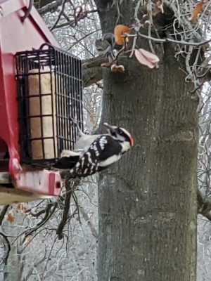 20201208_170411.jpg