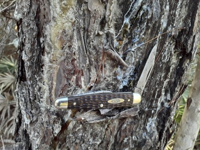 20201209_142407.jpg