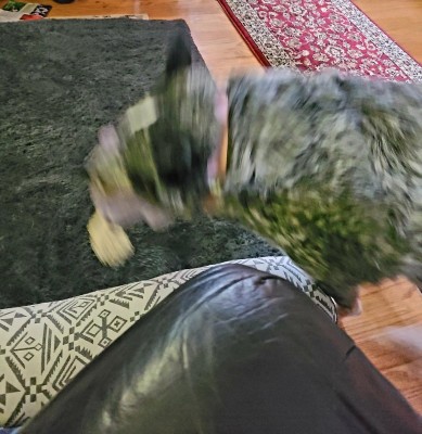 20201210_101332.jpg