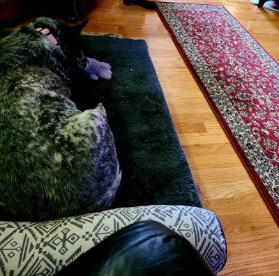 20201210_101419.jpg
