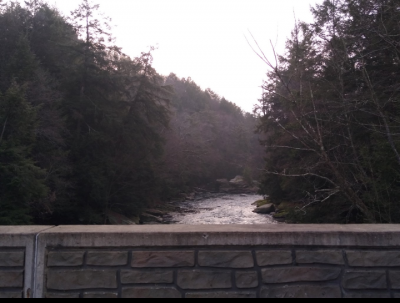Screenshot_20201211-085318.png
