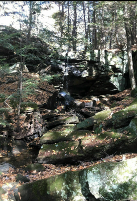 Screenshot_20201211-090049.png