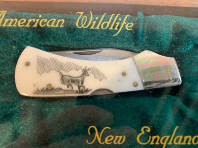 American Wildlife Scrimshaw set 08.jpg