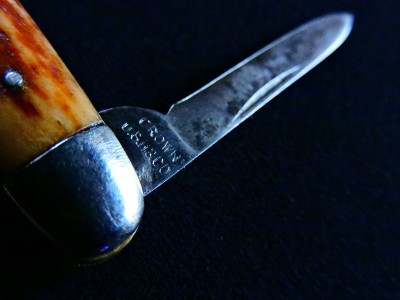 DSCN7557.JPG