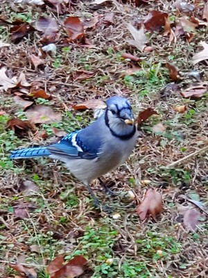 20201213_092318.jpg