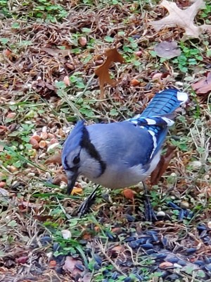 20201213_092255.jpg