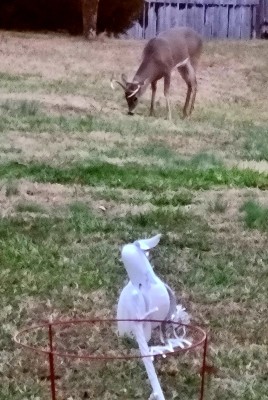20201214_172016.jpg