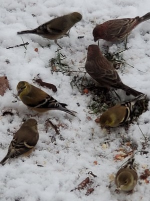 20201216_082104.jpg
