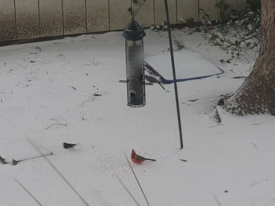 20201216_143230.jpg
