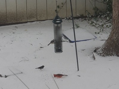 20201216_143229.jpg