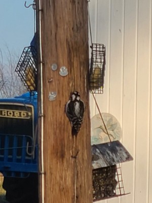 20201217_153708.jpg