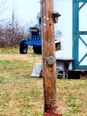 20201217_094252.jpg