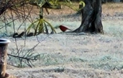20201218_071223.jpg