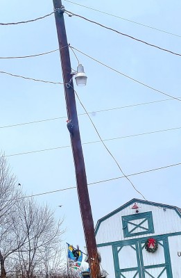 20201207_104923.jpg