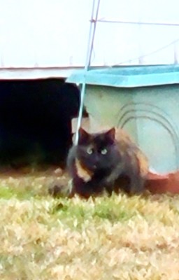 20201217_094552.jpg