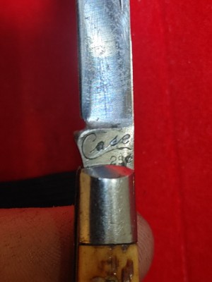 20201218_052938_HDR~2.jpg