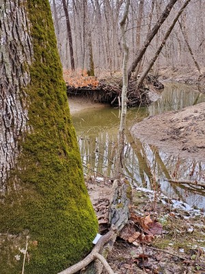 20201218_152817.jpg