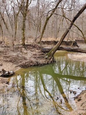 20201218_152558.jpg
