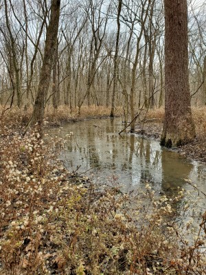 20201218_152257.jpg
