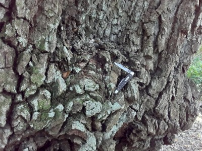 20201218_141013.jpg