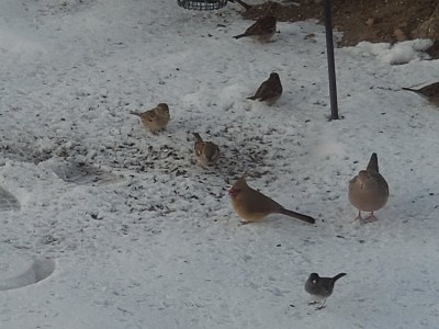 20201219_082859.jpg