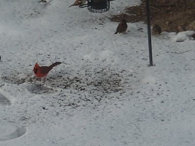 20201219_082919.jpg