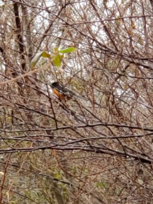 20201219_123543.jpg