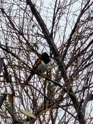 20201219_123701.jpg