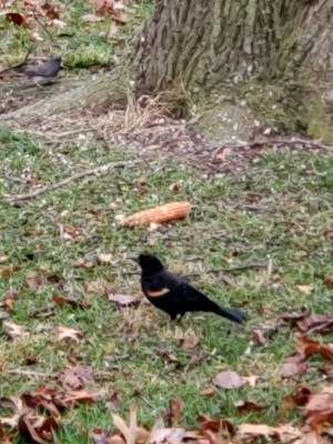 20201219_140108.jpg