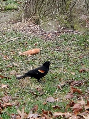 20201219_140012.jpg