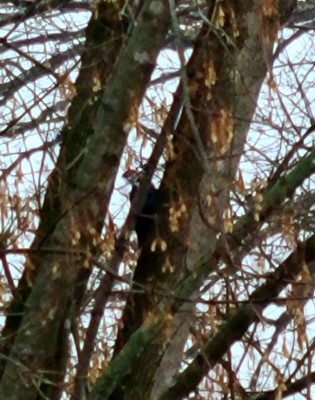 20201220_074854.jpg