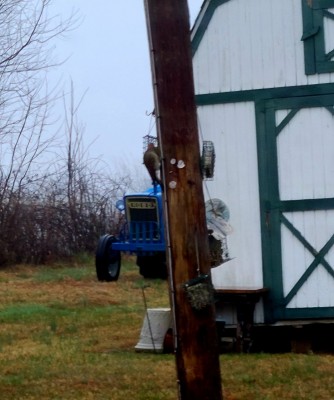 20201220_074335.jpg